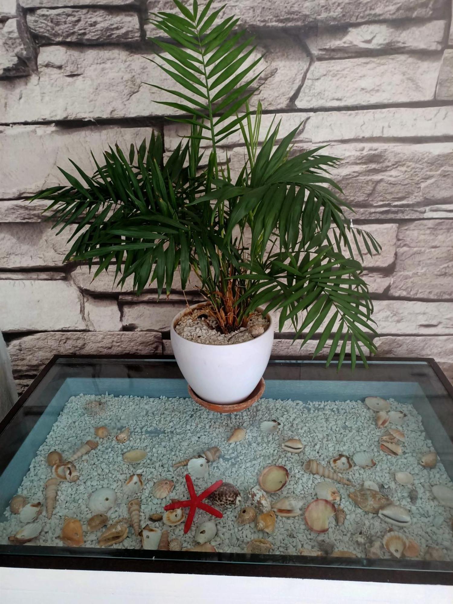 Summer Loft Sant'Andrea  外观 照片
